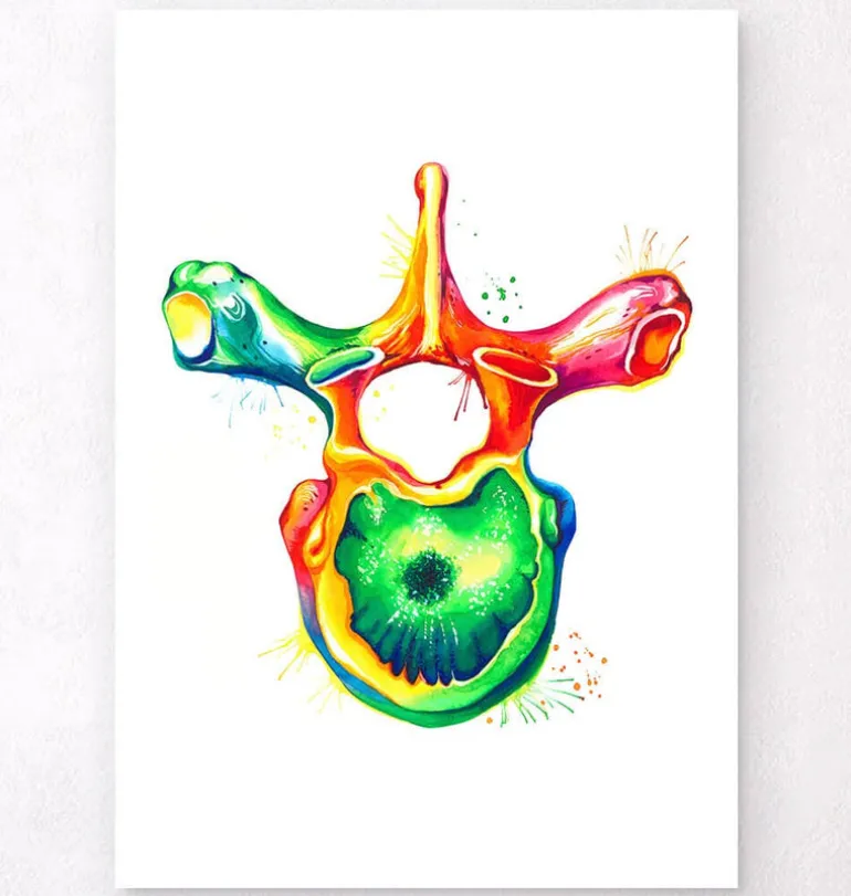 Vertèbre thoracique - Aquarelle