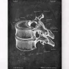 Vertèbre thoracique - Chalkboard