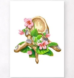 Vertèbre thoracique - Floral - Blanc